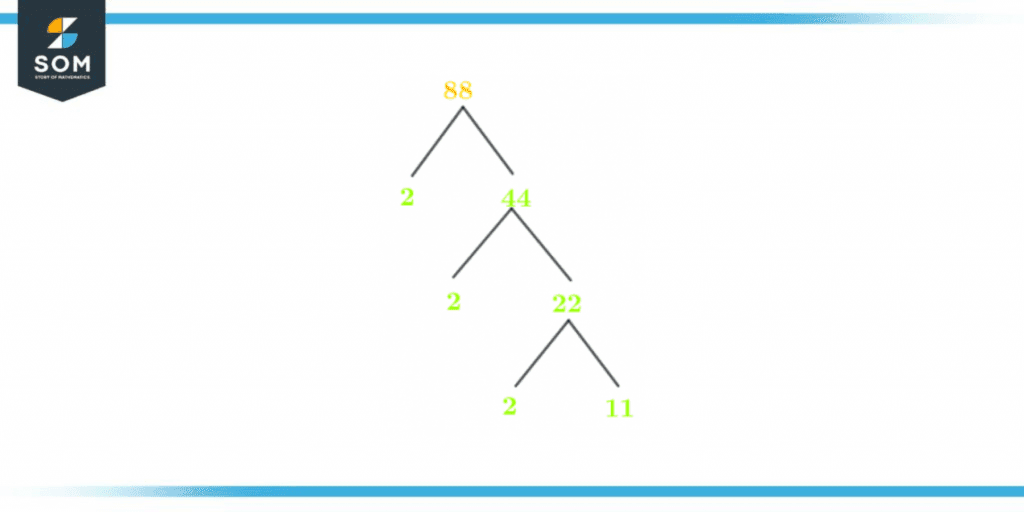 Factor tree of eighty eight