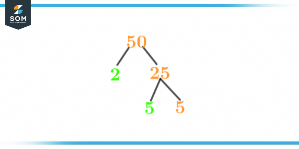 Factor tree of fifty