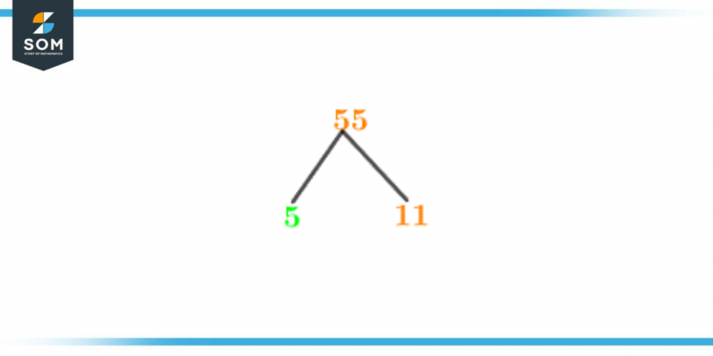 Factor tree of fifty five