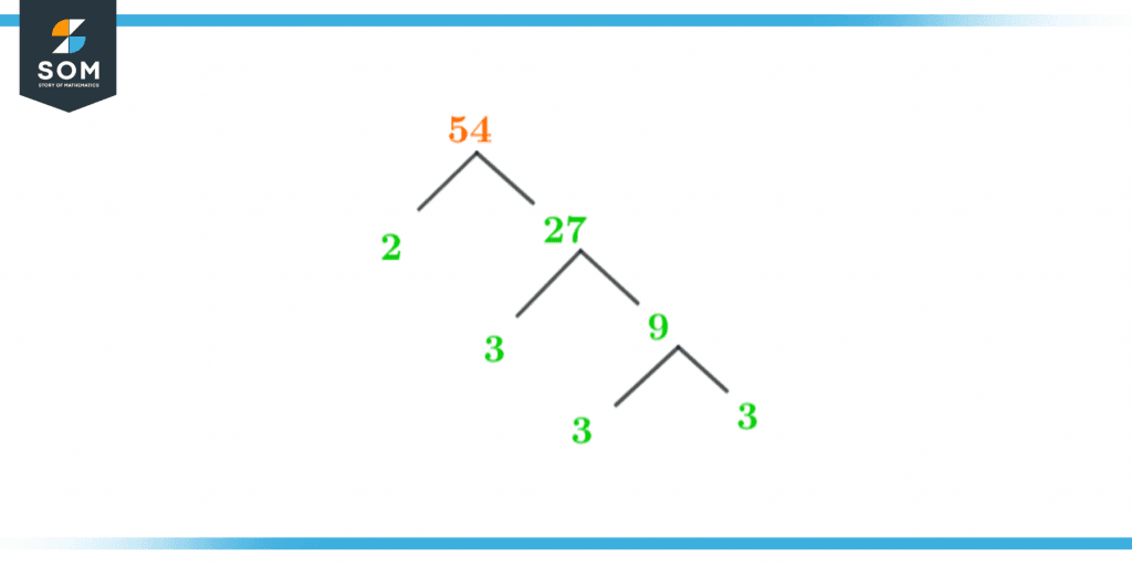 Factor tree of fifty four