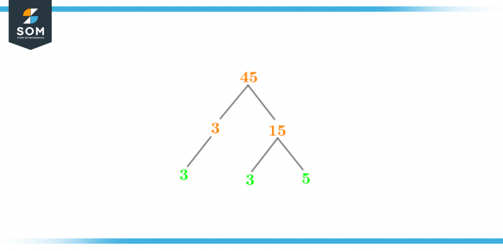 Factor tree of forty five