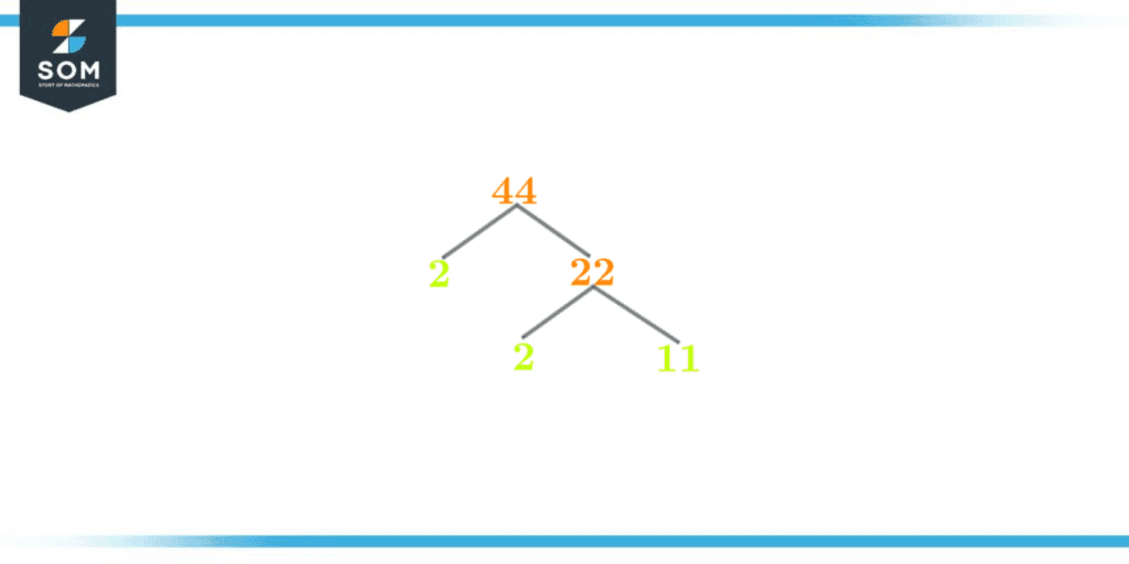 Factor tree of forty four