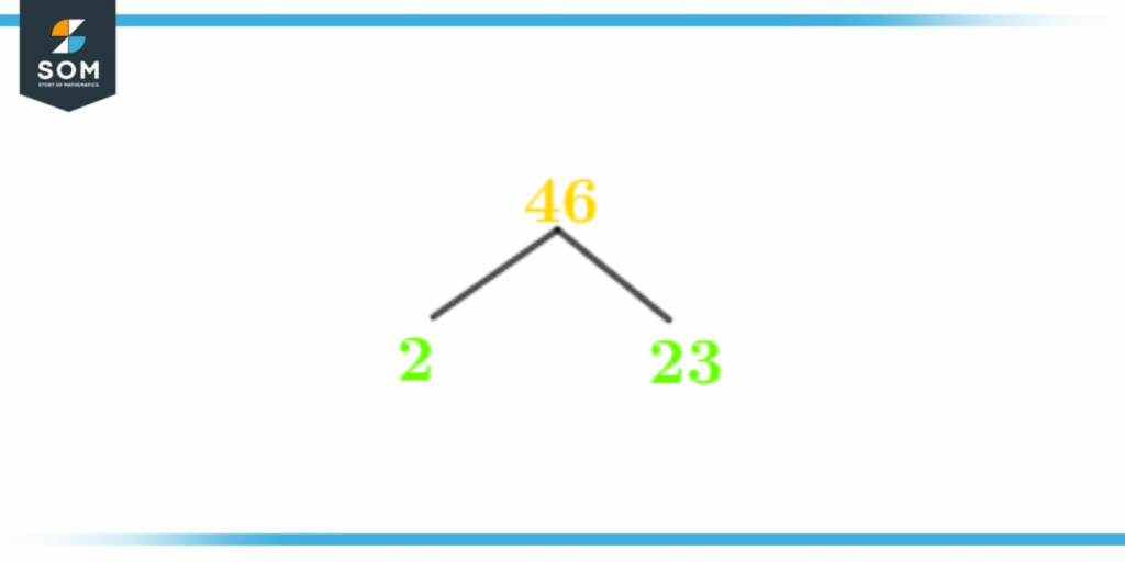 Factor tree of forty six