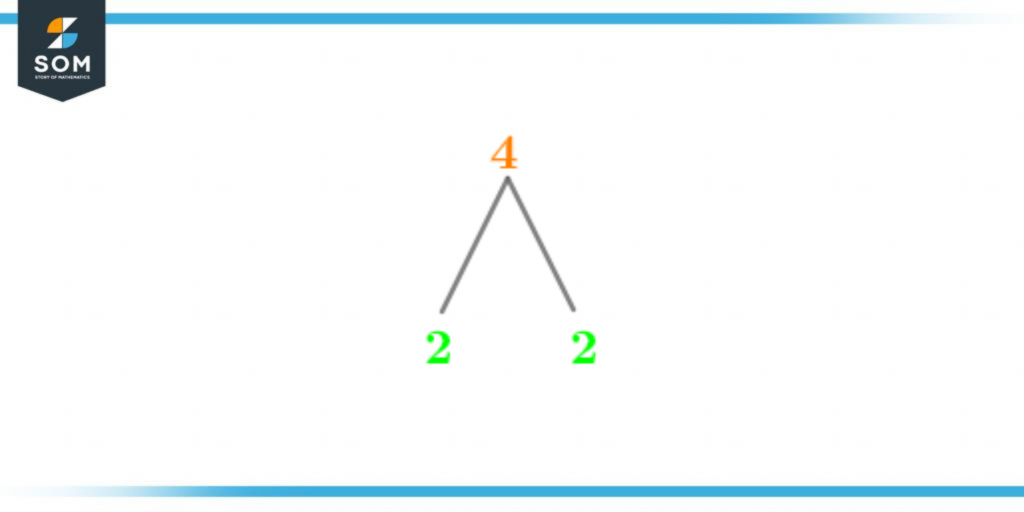 Factor tree of four