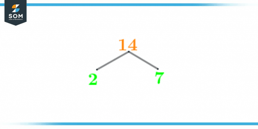 Factor tree of fourteen