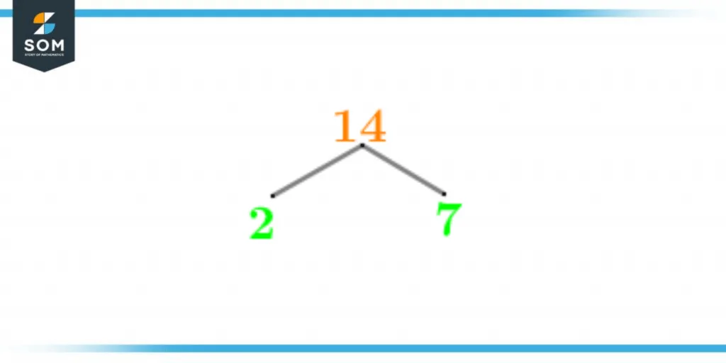 Factor tree of fourteen