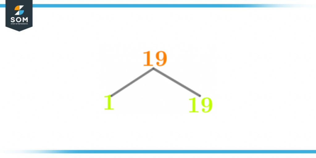 Factor tree of ninteen