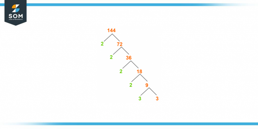 Factor tree of one forty four