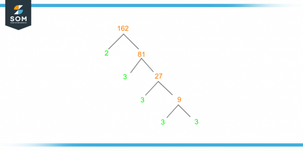 Factor tree of one sixty two