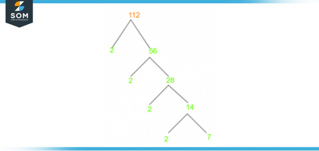 Factor tree of one twelve