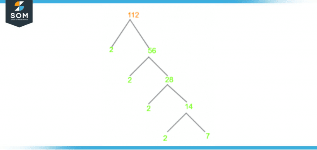 Factor tree of one twelve Factor tree of one twelve