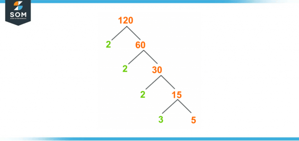 Factor tree of one twenty