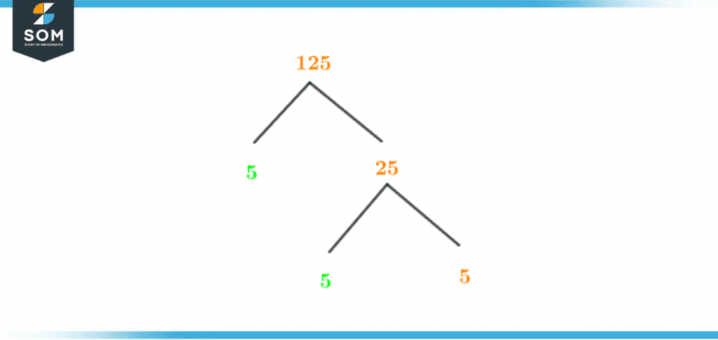 Factor tree of one twenty five