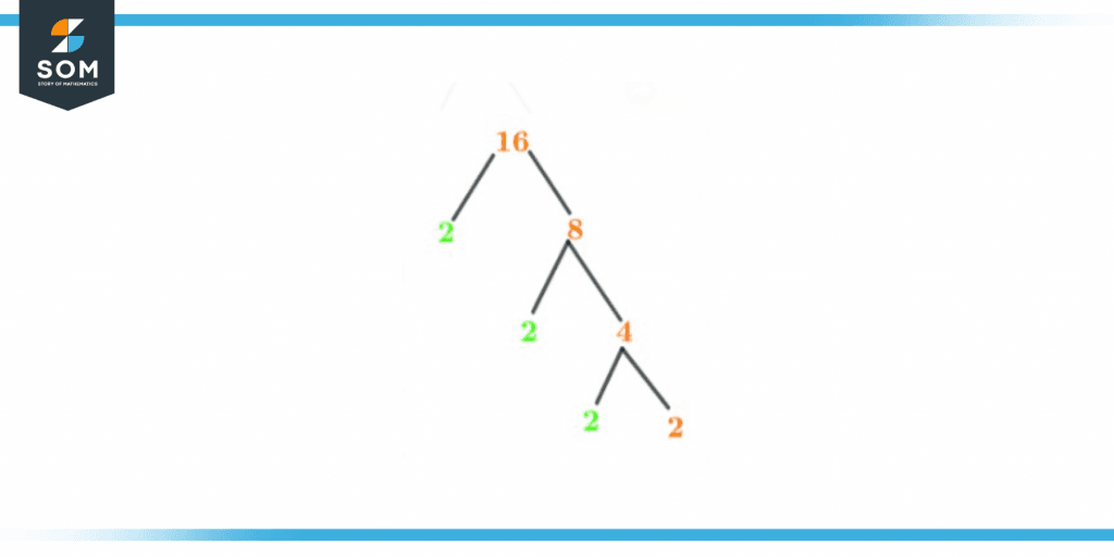 Factor tree of sixteen