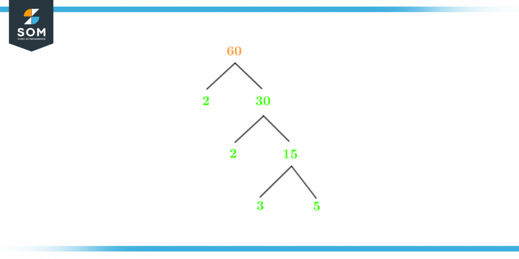 Factor tree of sixty