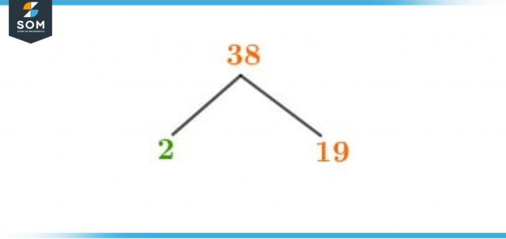 Factor tree of thirty eight
