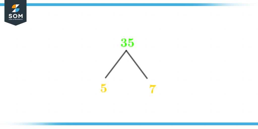 Factor tree of thirty five