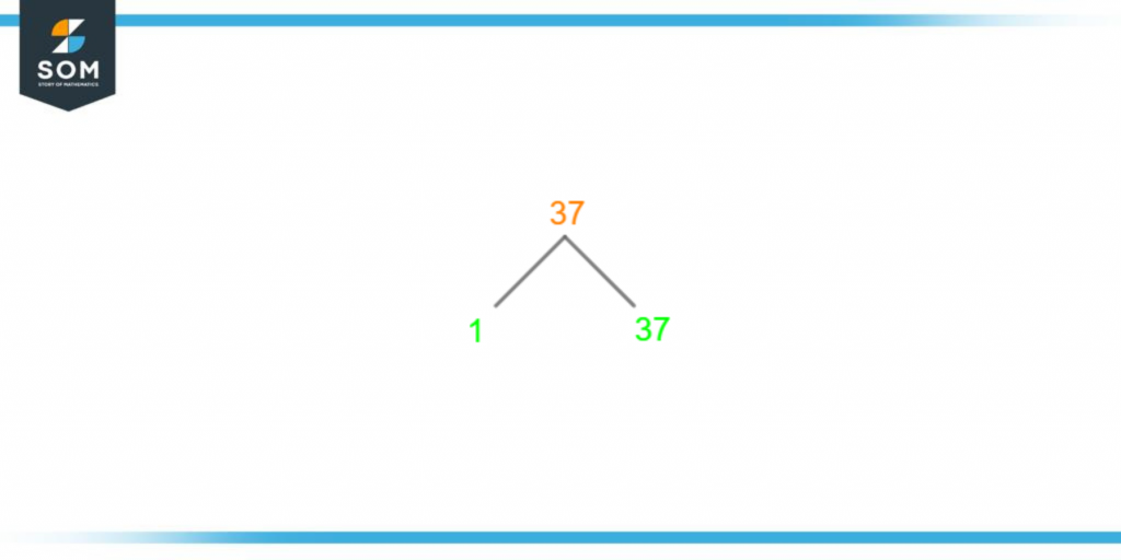 Factor tree of thirty seven
