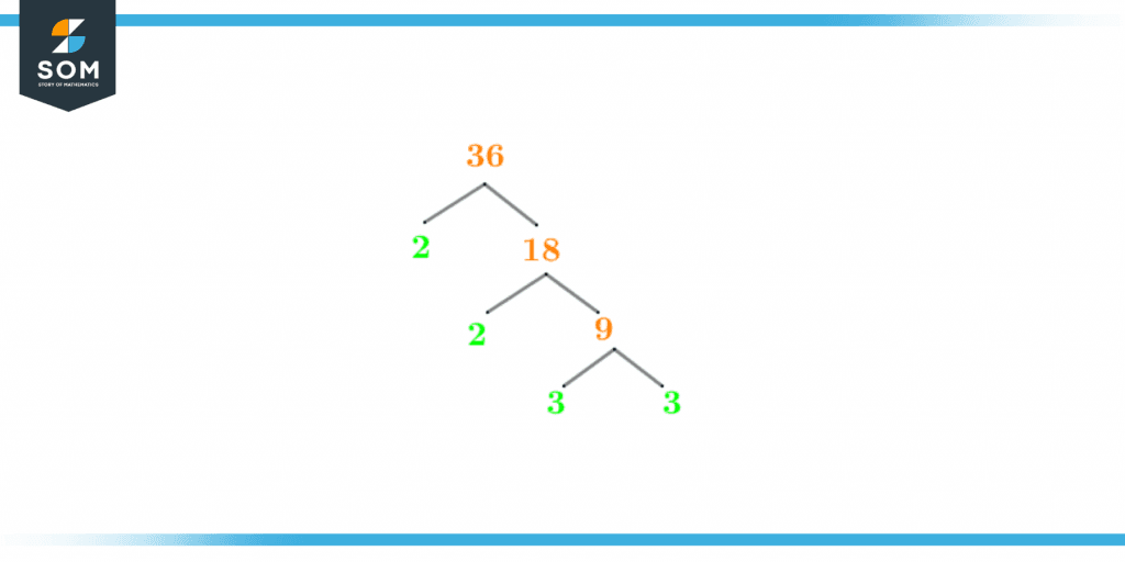 Factor tree of thirty six