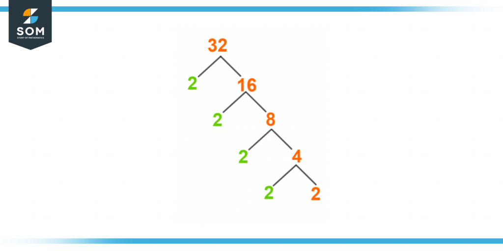 Factor tree of thirty two