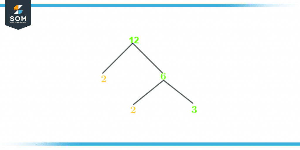 Factor tree of twelve