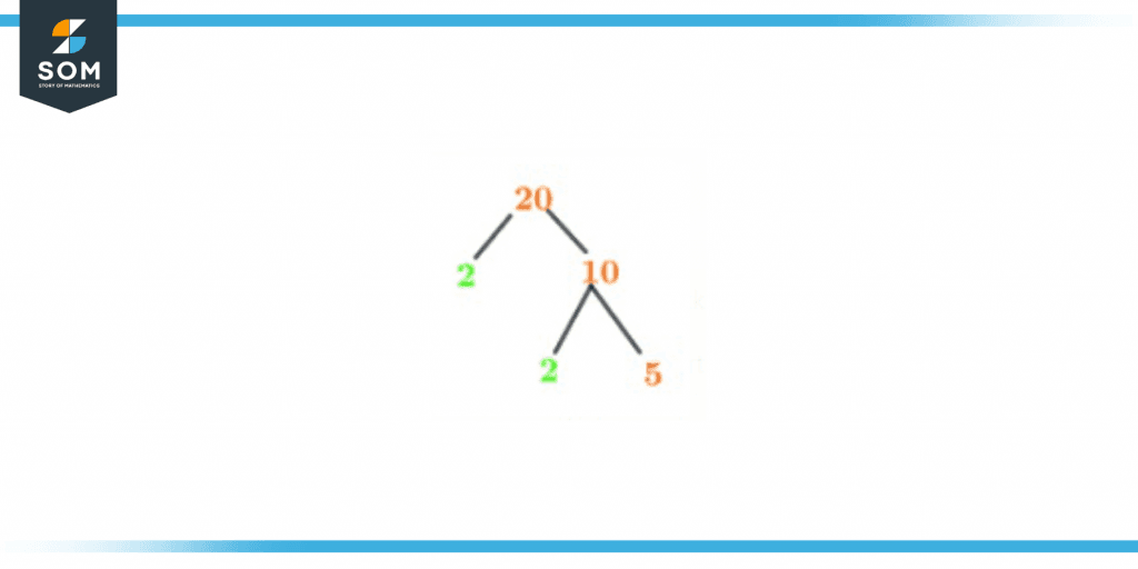 Factor tree of twenty