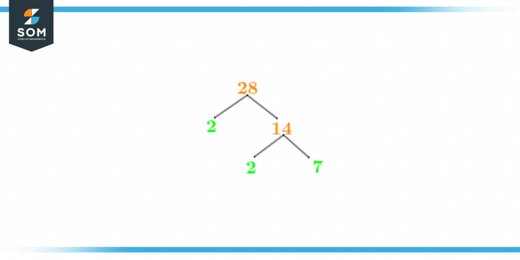 Factor tree of twenty eight