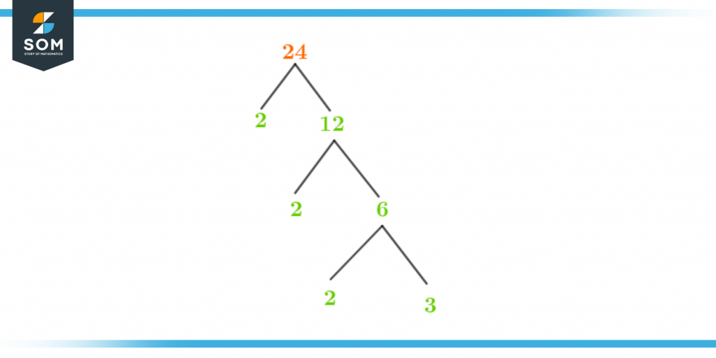 Factor tree of twenty four