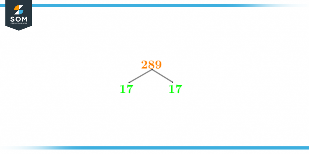 Factor tree of two eighty nine