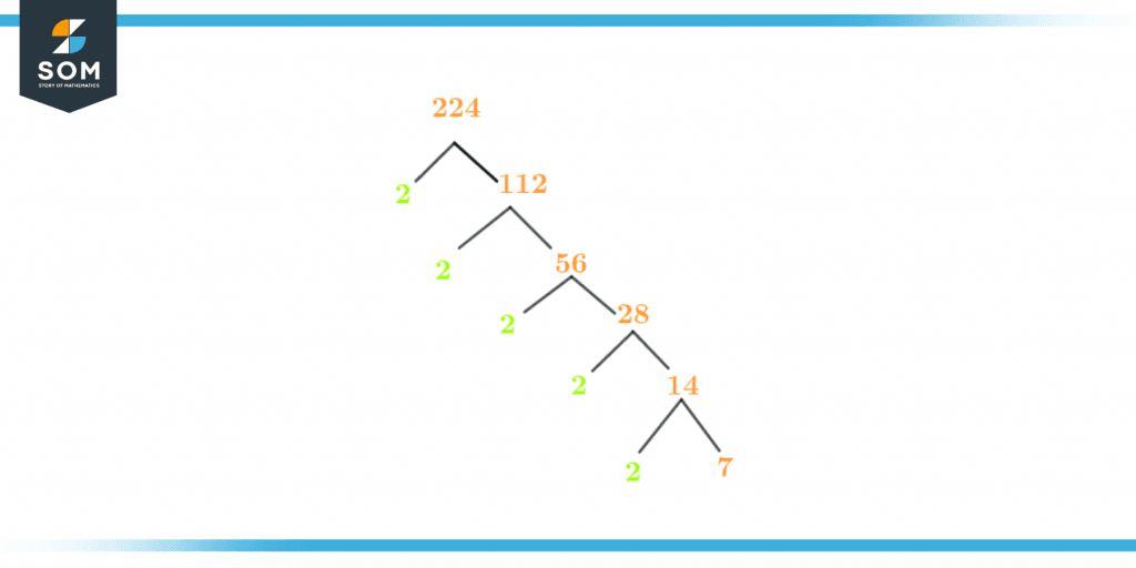 Factor tree of two twenty four Factor tree of two twenty four