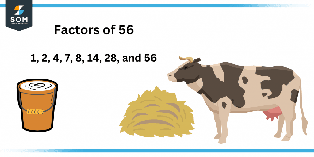 Factors of fifty six