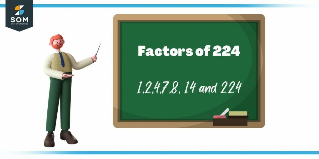 Factors of two twenty four