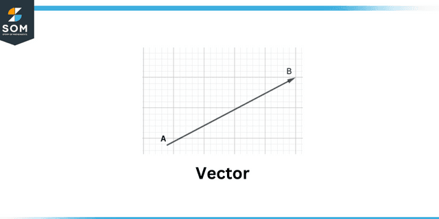 Vector