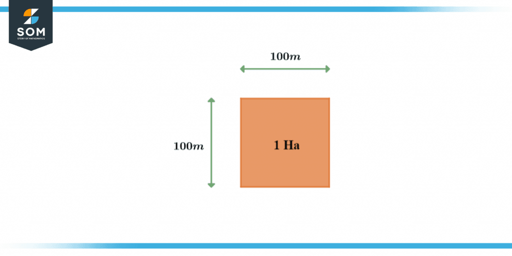 1-hectare measurement