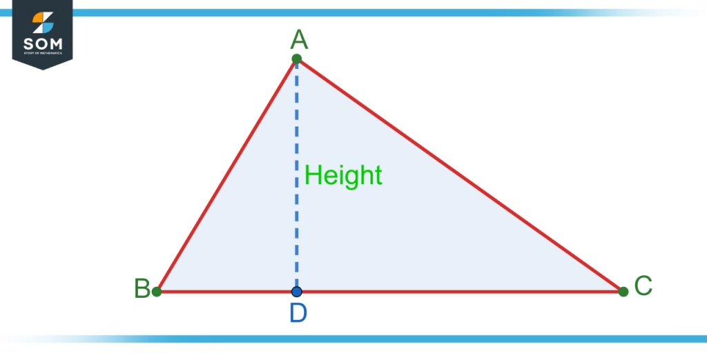 Height of Acute Triangle