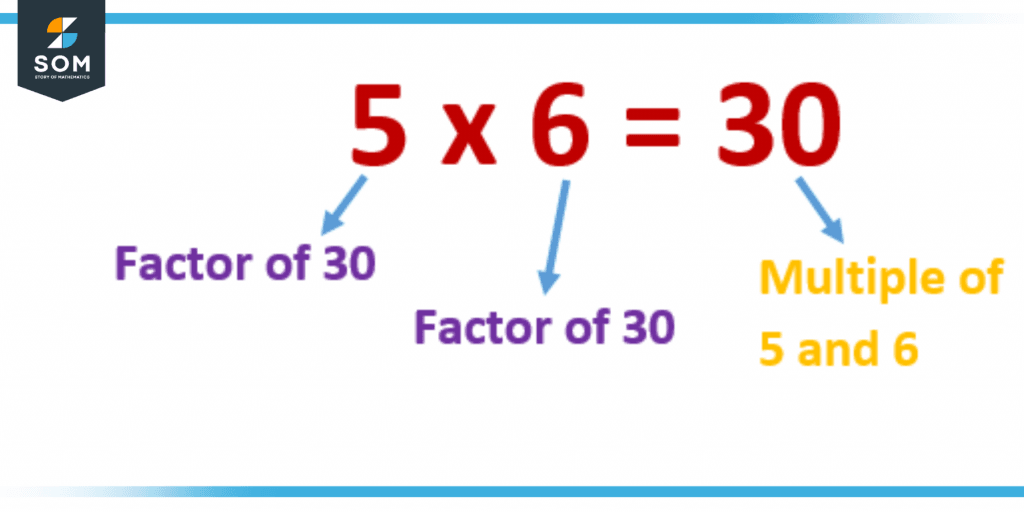 Multiple | Definition & Meaning