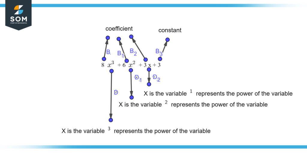coefficient variable and-constant of the expression