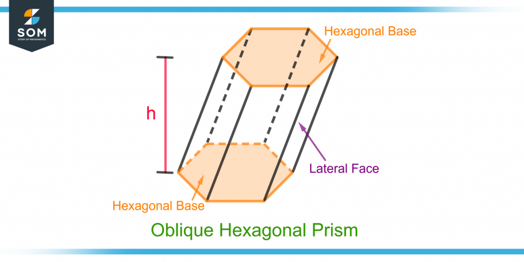 demonstration of the base and lateral faces of a hexagonal prism