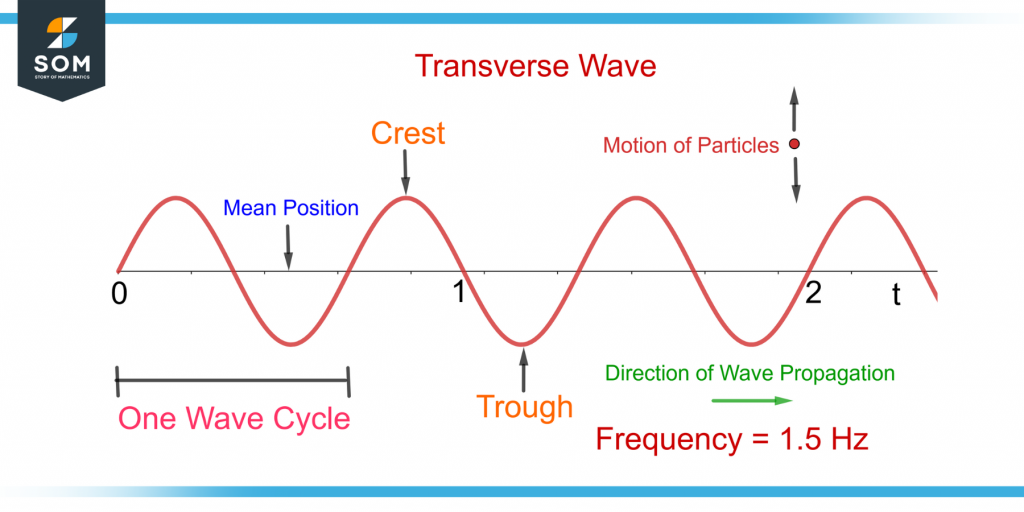 demonstration of transverse wave and its frequency
