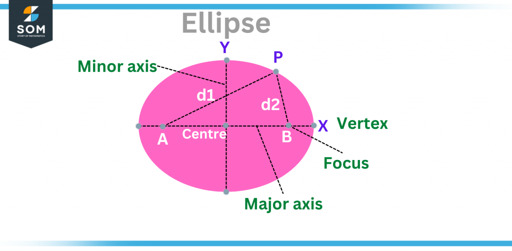 labeled components of ellipse