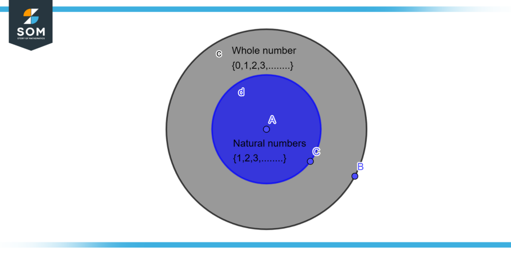 natural number and whole number