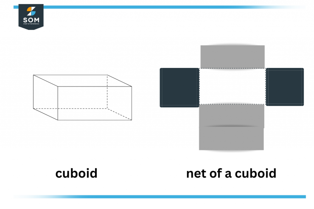 net of a cuboid