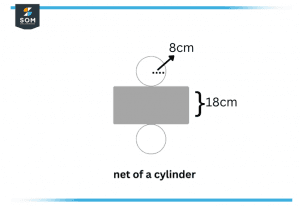 net of a cylinder e1671900684808