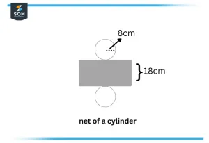 net of a cylinder e1671900684808
