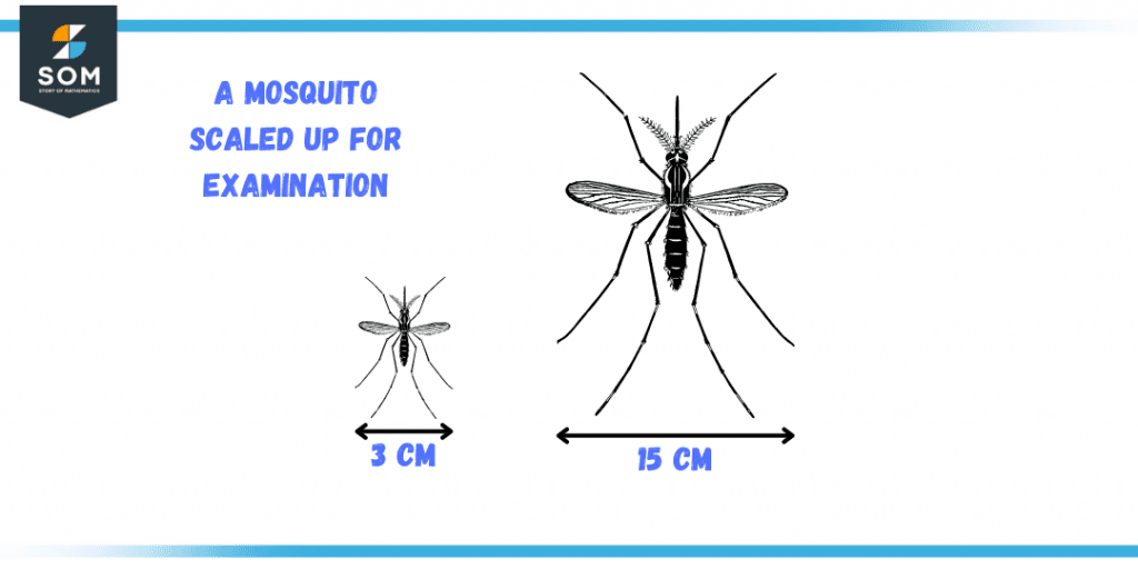 scaled up mosquito