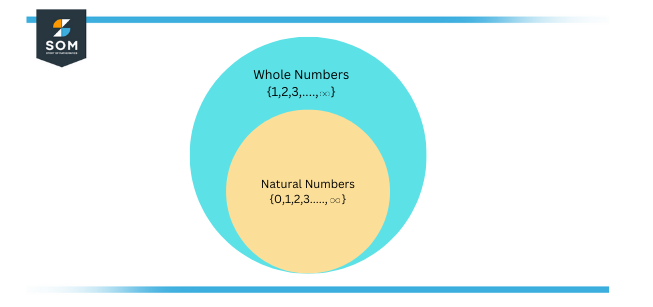 whole number vs natural number 1