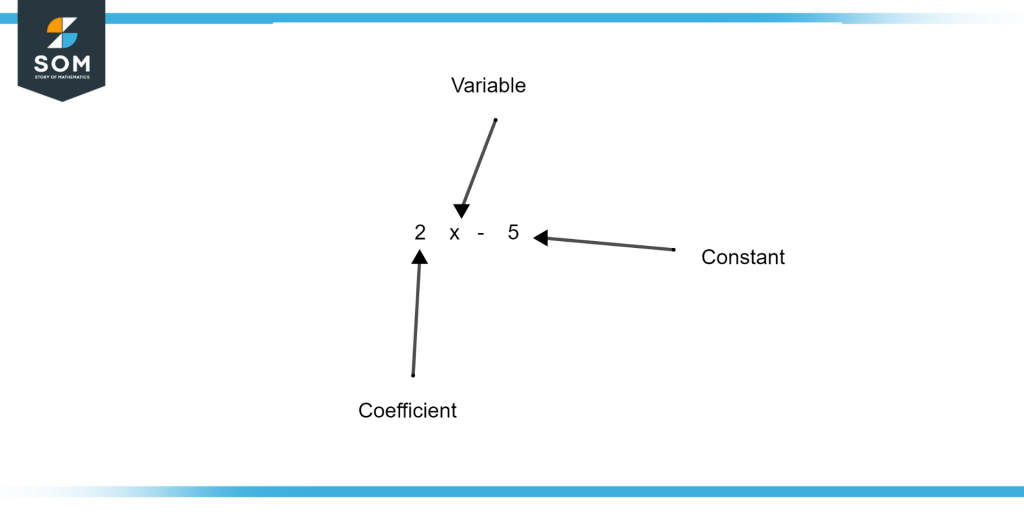 Difference between Coefficient Variable and Constant