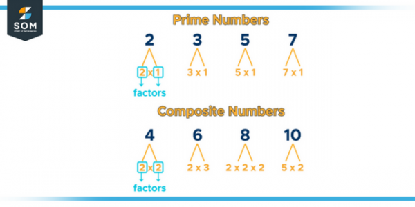 Prime Factor | Definition & Meaning