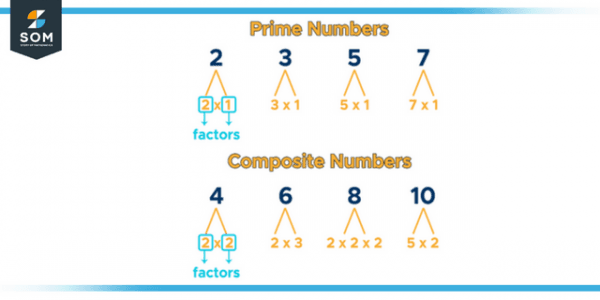 what is a prime number and a factor of 42