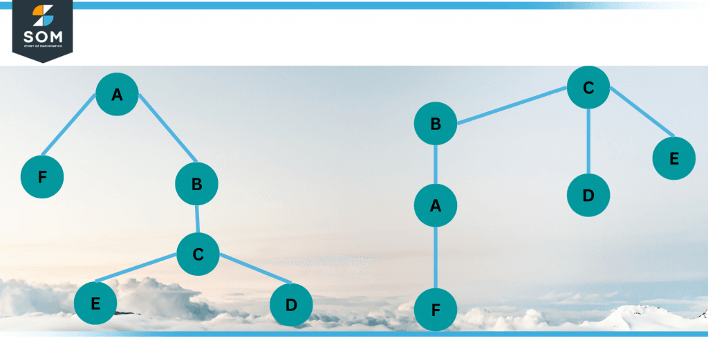 Two distinct rooted trees with identical vertices and edges.